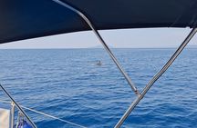 Dubrovnik : Private Full day sail boat tour to Elafity islands 