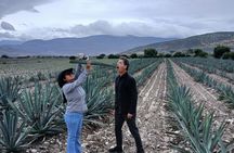 The Mezcal Tour