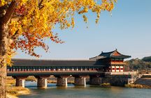 Gyeongju Autumn Foliage Day Tour from Busan with Historic Sites