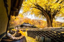 Gyeongju Autumn Foliage Day Tour from Busan with Historic Sites