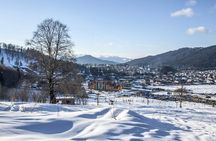 Bakuriani and Borjomi Winter Wonderland Group Tour