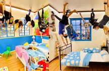  George Town Highlights & Upside Down Museum tours (5 Hours)