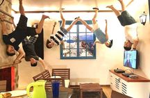  George Town Highlights & Upside Down Museum tours (5 Hours)
