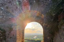 Chianti Half Day Wine Tasting Tour from Siena