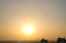  Evening Desert Safari Camel Ride Bbq Dinner live Shows