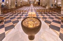 Notre Dame Introduction Tour with Access