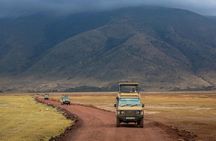 5 Day Group Camping Safari in Tanzania's Wildlife Parks