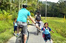 Downhill Cycling Ubud with Volcano, Rice Terrace and Educational