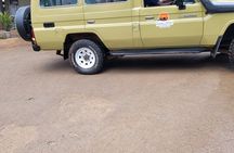 Experience the 3 Days Murchison Falls National Park Safari 