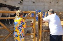 Old and New Dubai Half Day City Tour with Burj Khalifa Tickets