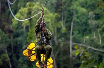 Zipline and Canopy Adventure in Nyungwe Forest National Park