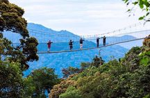 Zipline and Canopy Adventure in Nyungwe Forest National Park