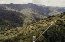 Zipline and Canopy Adventure in Nyungwe Forest National Park
