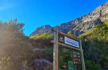 Abseil and Table Mountain Hike Combo