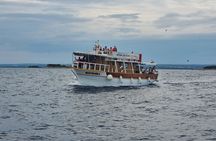 Sunset Dolphin Cruise in Brijuni National Park from Pula