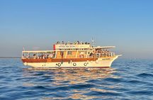 Sunset Dolphin Cruise in Brijuni National Park from Pula