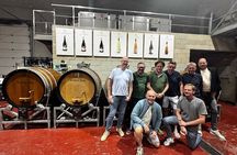 Alicante; Wine Tour Wine Tasting, Food and Transfer