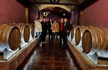 Alicante; Winery visit with two Oil and Fondillón Museums