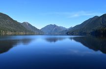 From Seattle Hoh rain forest and Olympic National Park Highlight