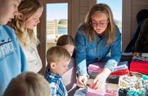 The Wool Monster Workshop - make your own souvenir!