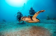 Underwater Adventure in Diving and Snorkeling