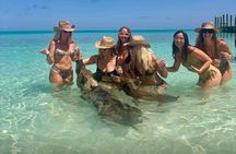 Rose Island Swimming Pigs & Beach Snorkeling Experience Nassau.