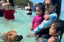 Rose Island Swimming Pigs & Beach Snorkeling Experience Nassau.