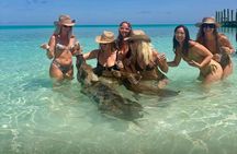Rose Island Swimming Pigs & Beach Snorkeling Experience Nassau 