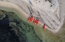 Golfo Aranci Kayak tour with aperitif and dolphin watching