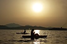 Golfo Aranci Kayak tour with aperitif and dolphin watching