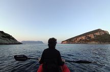 Golfo Aranci Kayak tour with aperitif and dolphin watching