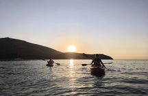 Golfo Aranci Kayak tour with aperitif and dolphin watching