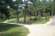 Explore the Wonders of Lituania from Klaipeda Cruise Terminal