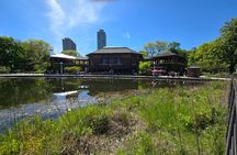 Lincoln Park Nature Museum & Zoo Private Walking Tour 
