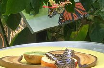 Lincoln Park Nature Museum & Zoo Private Walking Tour 