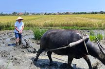 Discover The Hoi An Countryside