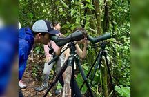 Manuel Antonio Esquipulas Birdwatching Tour