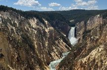 Yellowstone Tour Lower Loop Experience