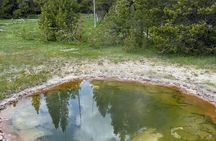 Yellowstone Tour Lower Loop Experience