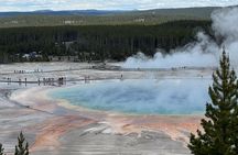 Yellowstone Tour Lower Loop Experience