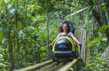 Mystic Mountain Dunn's River with Bobsled & Raggamuffin