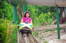 Mystic Mountain Dunn's River with Bobsled & Raggamuffin