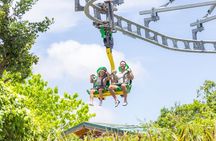 Mystic Mountain Dunn's River with Bobsled & Raggamuffin