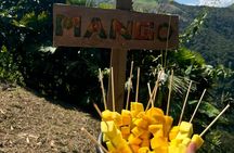 Coffee and Exotic Fruit Tour in the Medellin Mountains