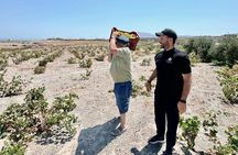 Farm to Table Food Tour Experience in Santorini