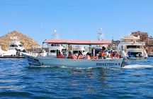Cabo San Lucas Arch Tour by Glass Bottom Boat