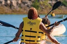 Experience Water Adventure in Dorado Park Punta Cana