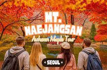 Naejangsan National Park Autumn Foliage One Day Tour from Seoul