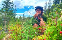 Colorado Rockies 1 Day E-Bike Tour
