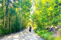 Colorado Rockies 1 Day E-Bike Tour